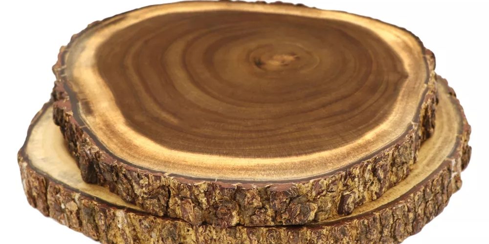 Fashion Wood Cutting Boards (4)